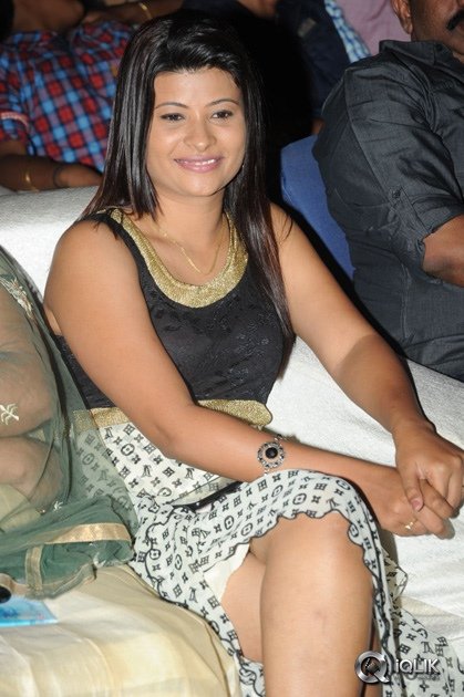 Son-Of-Sathyamurthy-Movie-Audio-Launch